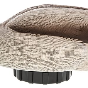 Avian X Power Shaker Mallard Drake Surface Feeder Duck Decoy
