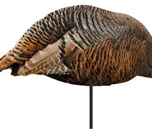 Montana Decoy Turkey Dinner Belle Feeding Hen 2D