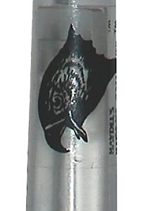 Haydel’s Game Calls Hawk Screamer Open Call Crow/Hawk Fight Sounds Attract Turkeys, Clear Acrylic