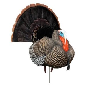 Higdon Outdoors Apex Strutter Hard Body Turkey