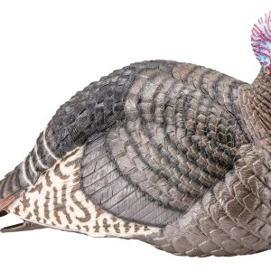 HS Strut Strut-Lite Jake Wild Turkey Species Multi Color Synthetic