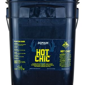 Domain Hot Chic
