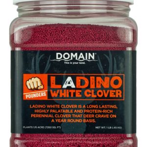 Domain Ladino White Clover