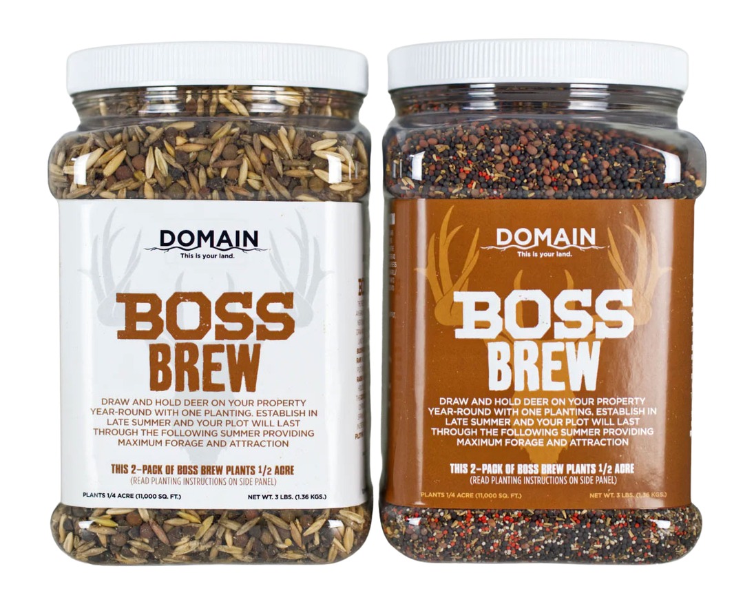 Domain Boss Brew