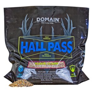 Domain Hall Pass
