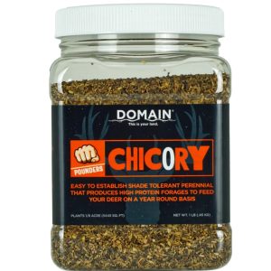 Domain Pounder - Chicory