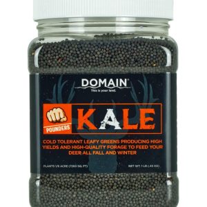 Domain Pounder - Kale