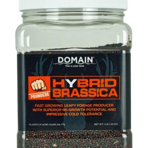 Domain Pounder - Hybrid Brassica