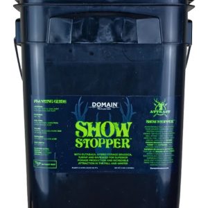 Domain Show Stopper