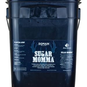 Domain Sugar Momma