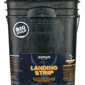 Domain Landing Strip