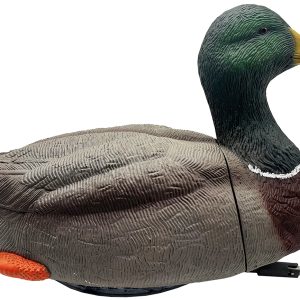 Mojo Outdoors Dabbler Duck Mallard Drake Species