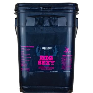 Domain Big Sexy