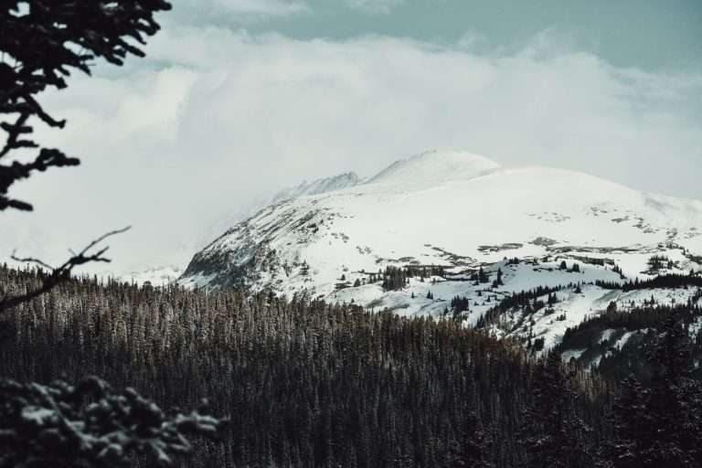 Snow covered peaks above dark evergreen timber