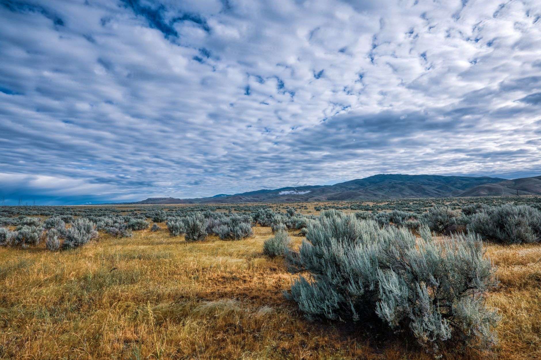 Sagebrush park country below the hills