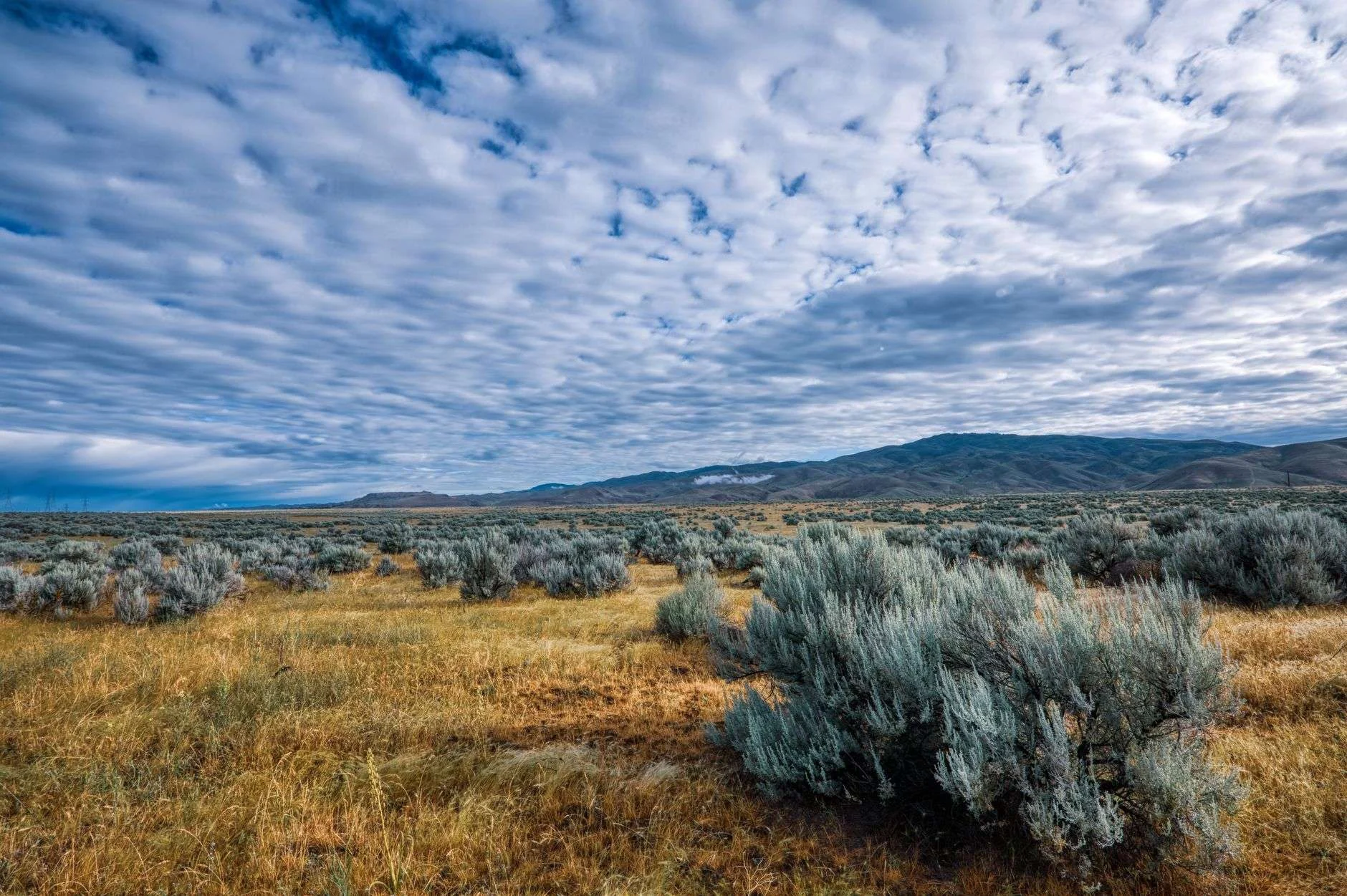 Open sagebrush park country running up to timbered hills