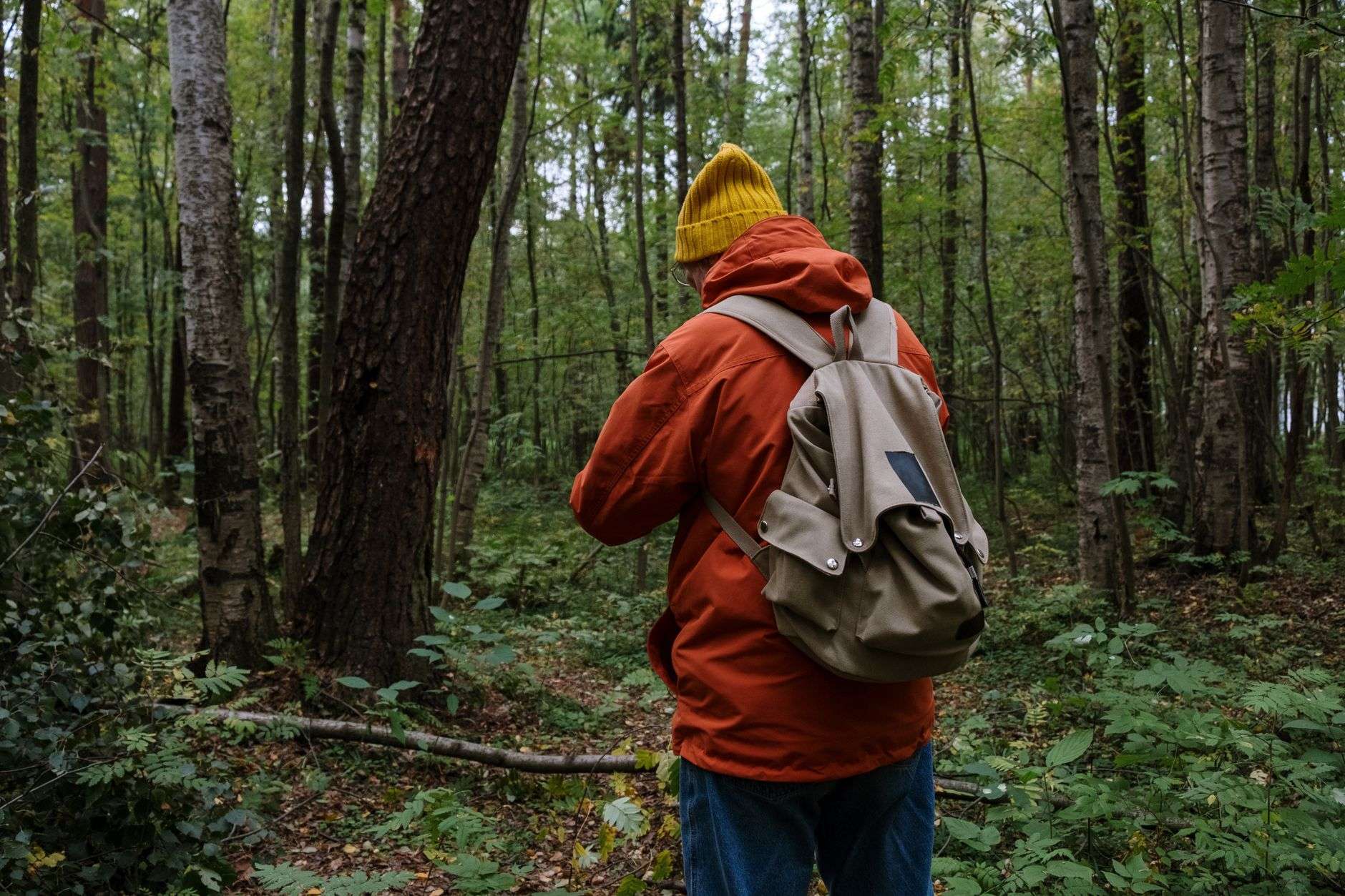A person in a bright blaze orange jacket walking through green timber