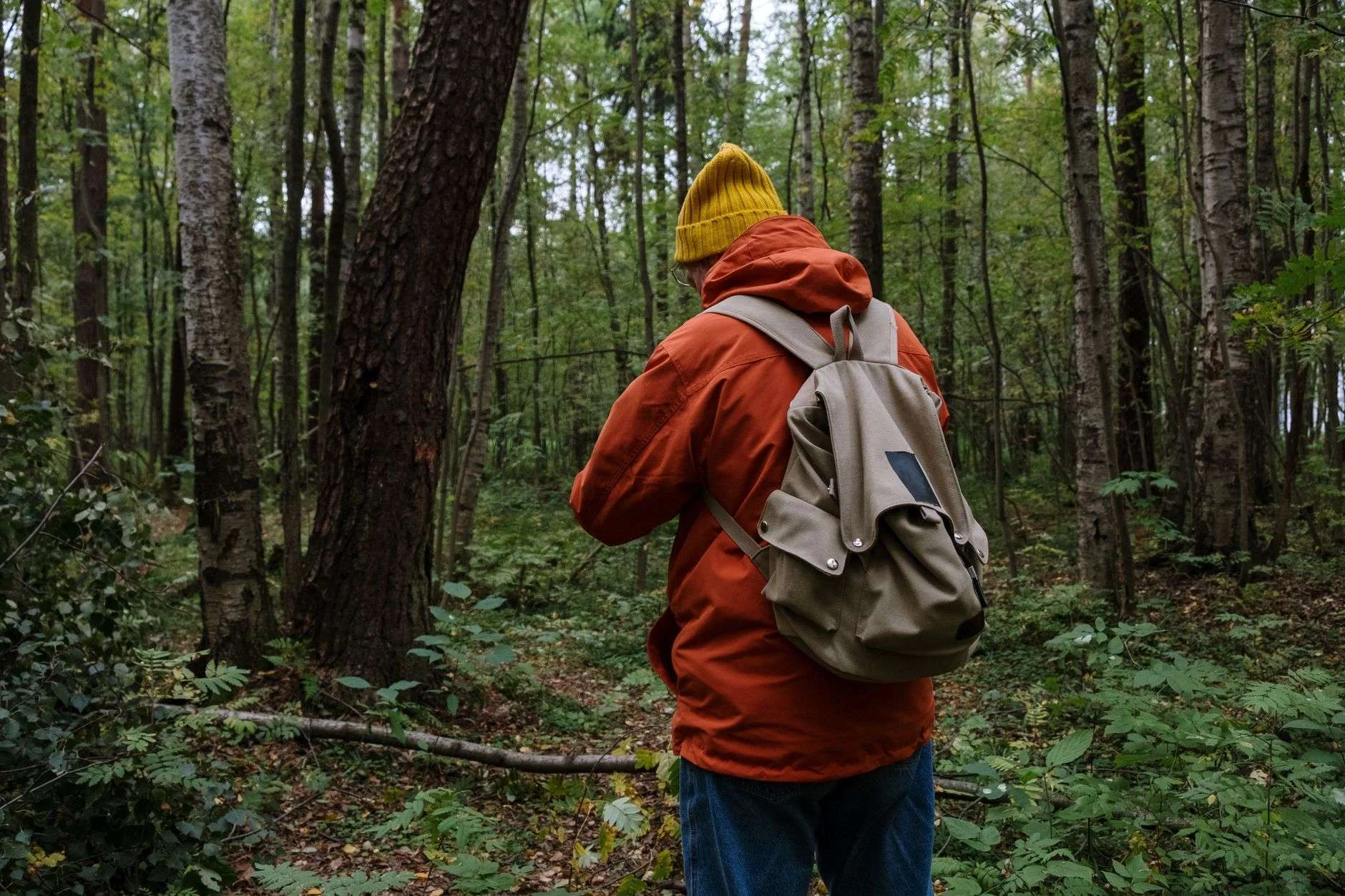 A person in a bright blaze orange jacket walking through green timber