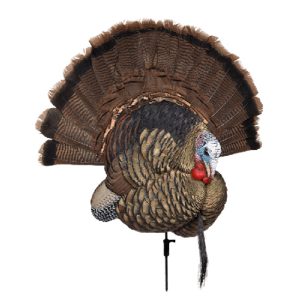 Avian-X Trophy Tom Turkey