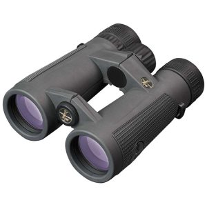 Leupold BX-5 Santiam HD 10x42 Gray