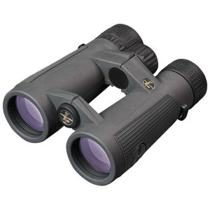 Leupold BX-5 Santiam HD 10x50MM Gray