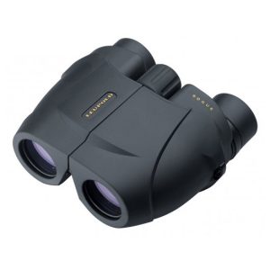Leupold Binoculars Rogue 10x25MM Compact Black